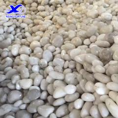 High polished small white pebbles for garden