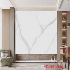 New Raw Material Background Walls Sintered Stone Slab